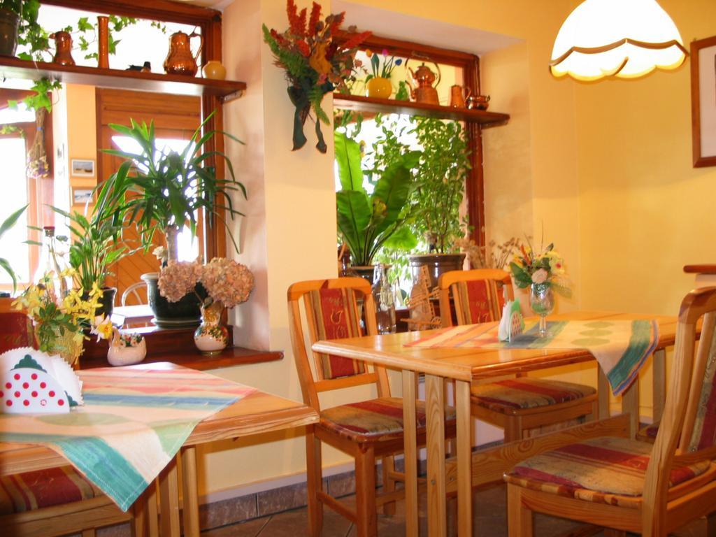 Pensjonat Lotos Krynica Morska Extérieur photo